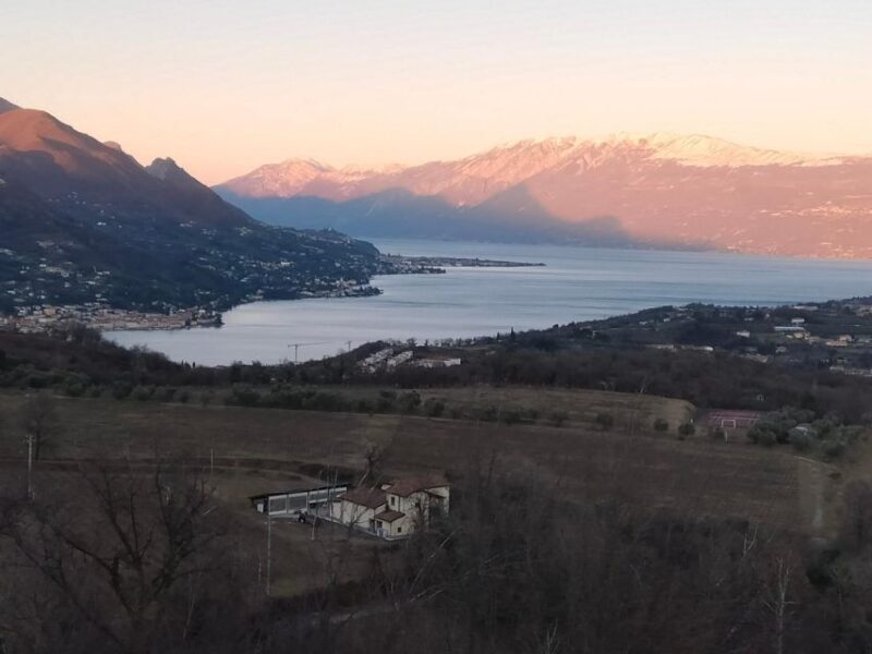 Salò: Tasting of 4 Valtenesi wines with local food - Exploring the Valtenesi Wine Tasting Near Lake Garda: A Friendly Review