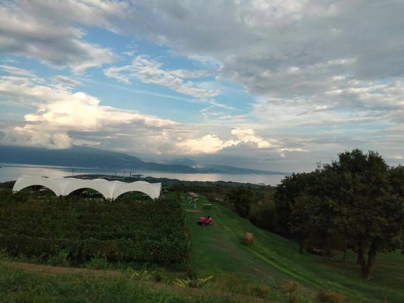 Salò: Tasting of 4 Valtenesi wines with local food - Final Thoughts