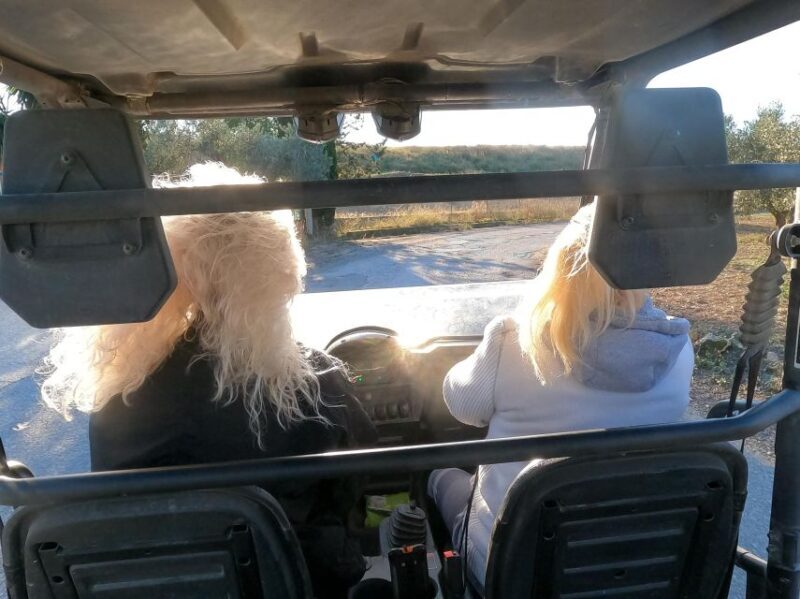 Salou: Buggy Safari with Hotel Transfer - Why Choose the Buggy Safari in Salou?