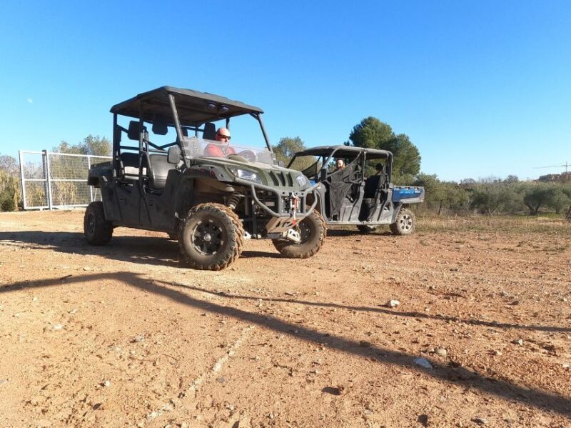 Salou: Kid's Buggy Driving Experience in Safe Environment - In-Depth Look at the Experience