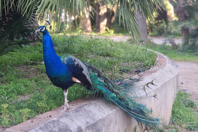 Salou : park Sama with 1 free vermouth tasting with hotel Pickup - Who Will Love This?