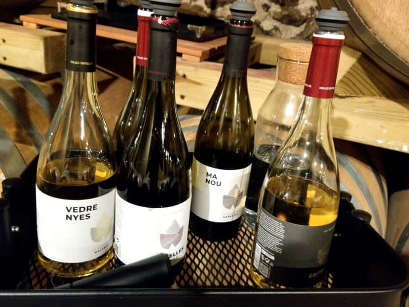 Salou: Priorat tasting Wine-Cellar Tour with hotel pickup - The Value for Money