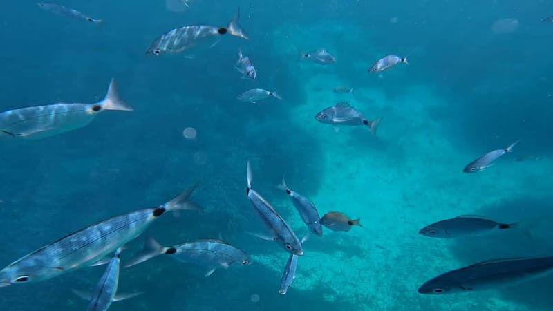 Salou: Underwater scooters - Key Points