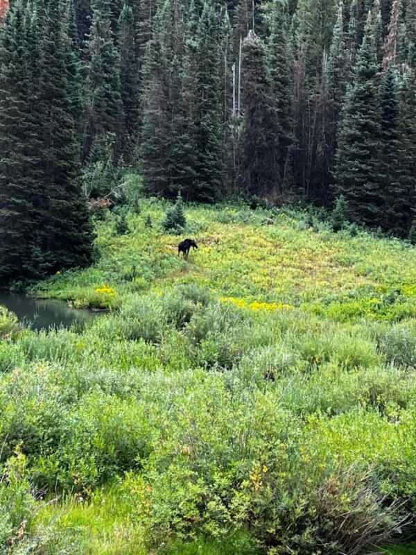 Salt Lake City: Best Canyons Private Day Tour - An Honest Look at the Salt Lake City Canyons Tour