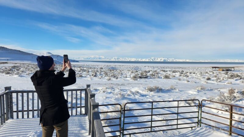 Salt Lake City: Great Salt Lake Antelope Island Guided Tour - Key Points