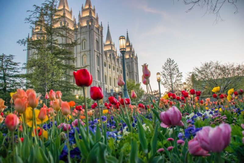 Salt Lake City: Mormon Tabernacle Choir and Guided City Tour - Comfort, Convenience, and Practicalities