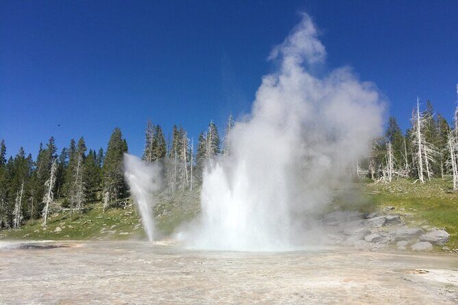 Salt Lake City to Yellowstone and Mt Rushmore 4 Day Tour - Frequently Asked Questions