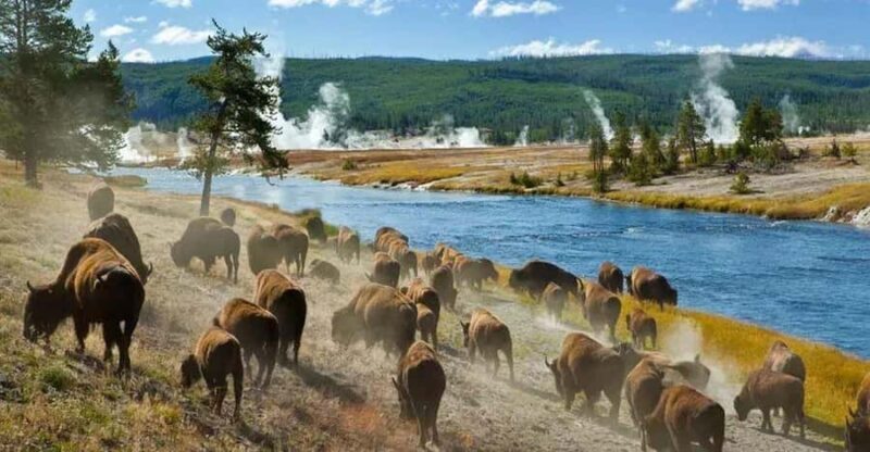 Salt Lake City: Yellowstone 3-Day Guided Trip with Hotels - How We Think About the Price