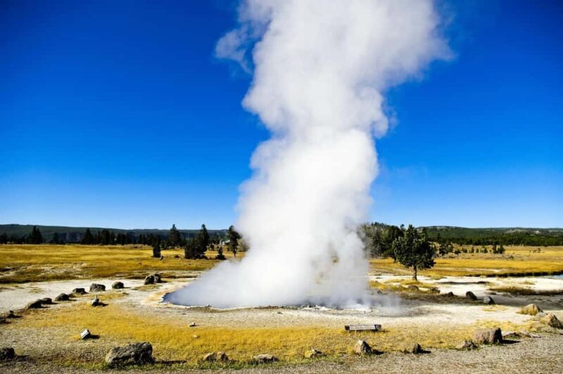 Salt Lake City: Yellowstone 3-Day Small Group Guided Trip - The Value of This Tour