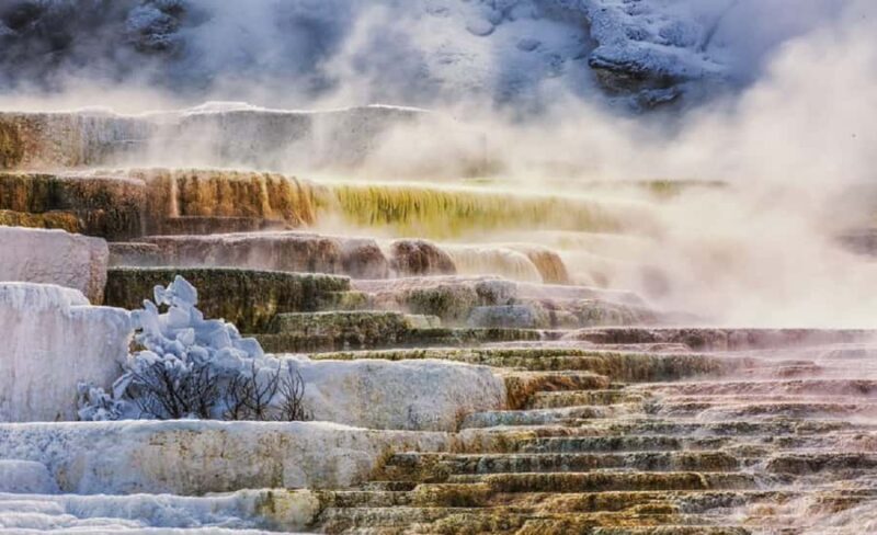 Salt Lake City: Yellowstone National Park 6-Day Tour - The Experience of the Guides and the Group