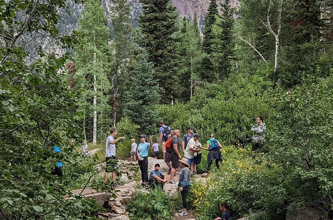 Salt Lake City's Top Guided Hiking Tour with Charcuterie board - Who Will Love This Tour?