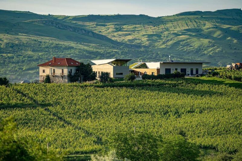 Salt Mine, Lunch at Winery, Dracula Grave - Private Tour - Practical Details and Tips