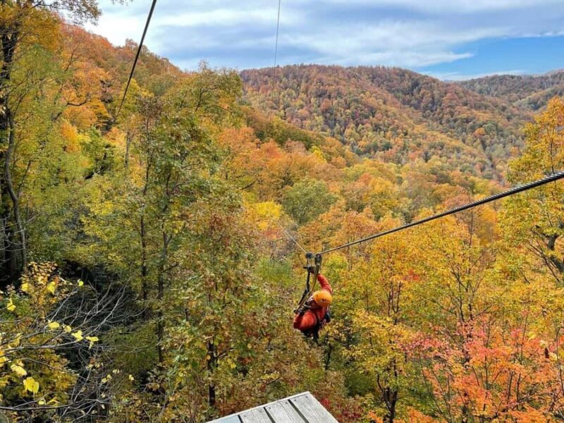 Saluda: Zipline Canopy Tour with Rappels and Skybridge - What You Can Expect from the Zipline Experience
