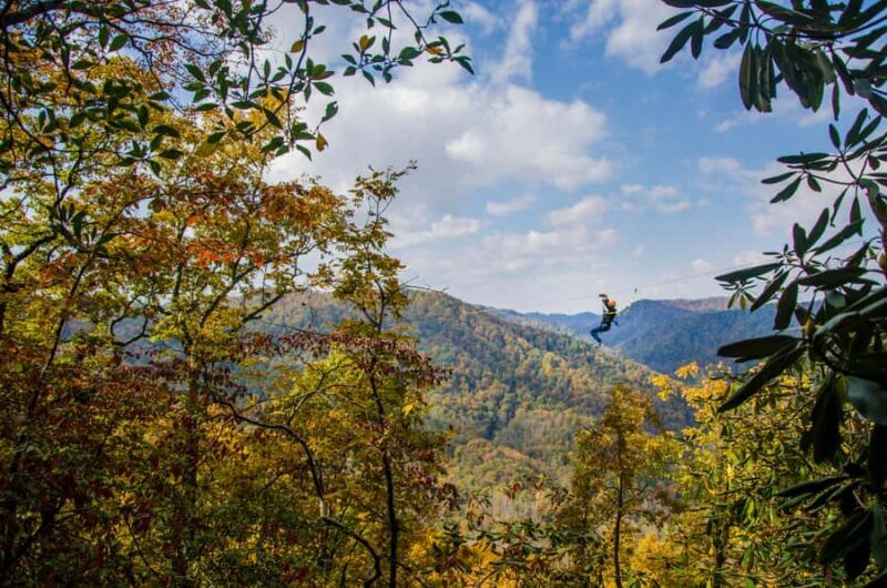 Saluda: Zipline Canopy Tour with Rappels and Skybridge - Pricing and Value