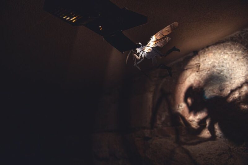 Salzburg Cathedral: Guided Tour with Entry Ticket - The Crypt and Modern Art Installation