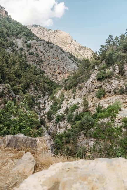 SAMARIA GORGE Full-Day Trip from CHANIA - What Travelers Say