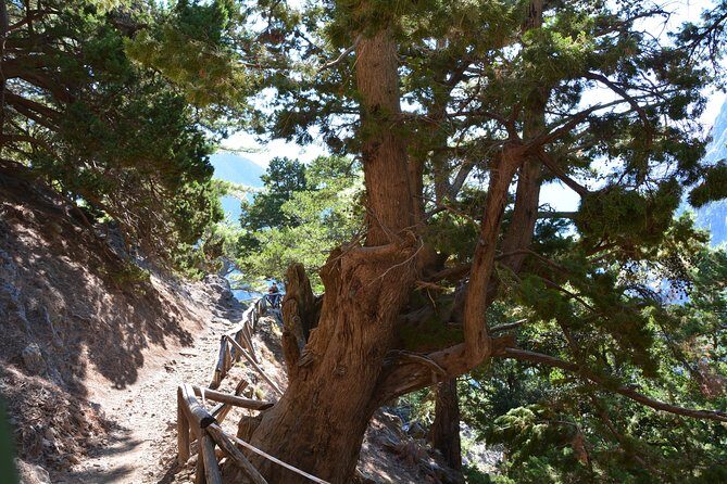 Samaria Gorge Hike - What is the Samaria Gorge Hike?