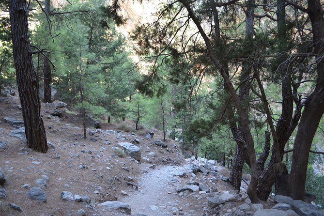 Samaria Gorge Hiking Tour from Chania with Professional Guide - The Experience: What Travelers Say