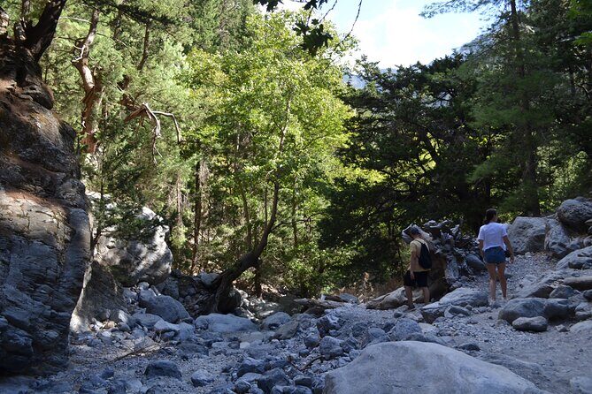 Samaria Gorge Hiking Tour from Chania with Professional Guide - Final Thoughts: Is This Tour Right for You?