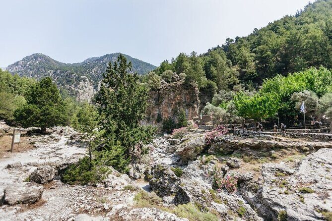 Samaria Gorge Trek Full Day Tour from Georgioupoli with Guide - The Realities of the Tour