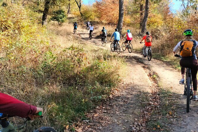 Sambata de Sus: E-Bike Guided Tours - Key Points