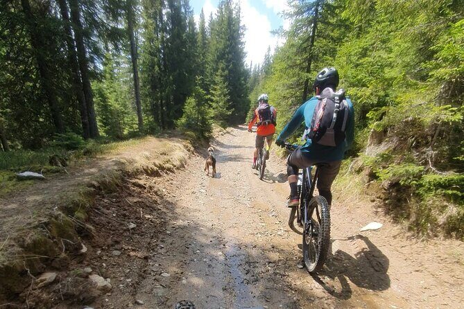 Sambata de Sus: E-Bike Guided Tours - FAQ