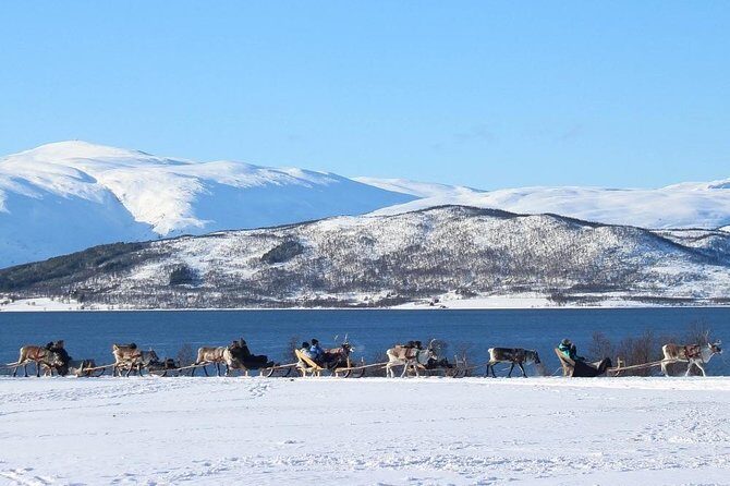 Sami Culture and Short Reindeer Sledding from Tromso - FAQs