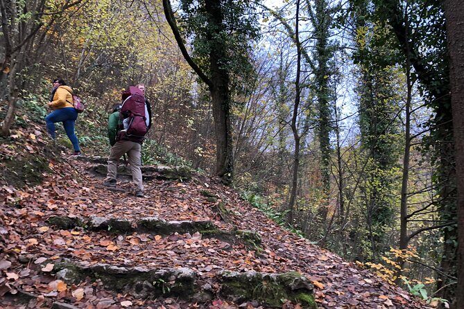 Samobor Town and Castle Walking Tour - What We Think About the Experience