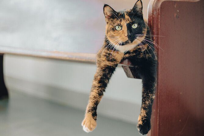 Sample our Award Winning Spirits on our Tasting Tour - From the Reviews