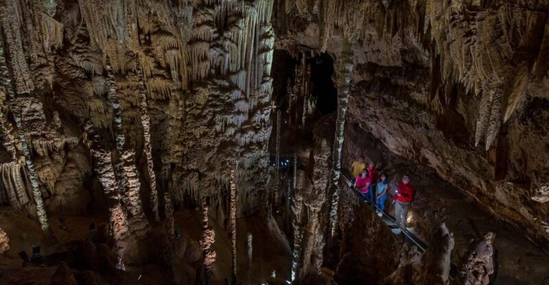 San Antonio: Discovery Tour at Natural Bridge Caverns - An Introduction to the Discovery Tour Experience