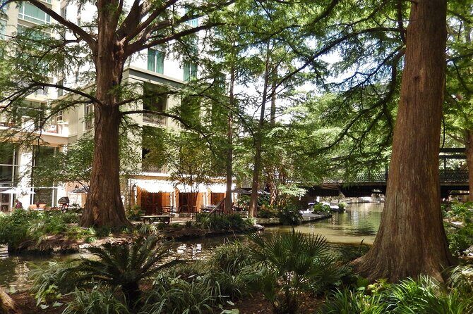 San Antonio Scavenger Hunt Walking Tour and Game - Who Is This Tour Best For?