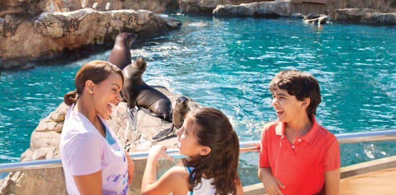 San Antonio: SeaWorld Skip-the-Line Park Admission Ticket - Visitor Experience and Feedback