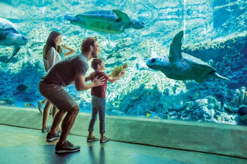 San Antonio: SeaWorld Skip-the-Line Park Admission Ticket - Final Thoughts