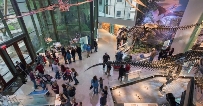 San Antonio: Witte Museum Admission Ticket - A Walkthrough of the Witte Museum Experience
