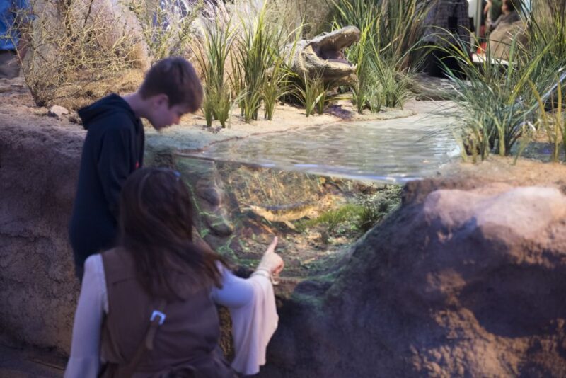 San Antonio: Witte Museum Admission Ticket - Who Will Appreciate the Witte Museum?