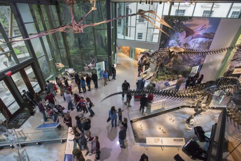 San Antonio: Witte Museum Admission Ticket - FAQ