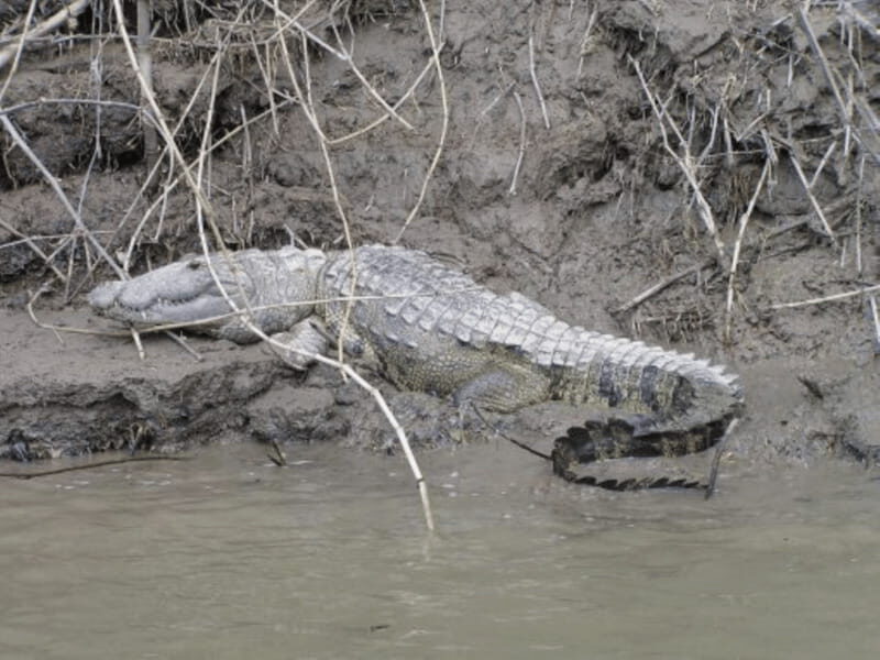 San Cristobal: 2 Days in the Southern Selva Lacandona Tour - Key Points