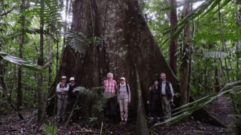 San Cristobal: 2 Days in the Southern Selva Lacandona Tour - Exploring the Tour in Detail