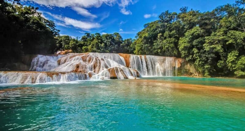 San Cristóbal: Agua Azul, Misol Ha & Palenque Experience - What Travelers Are Saying