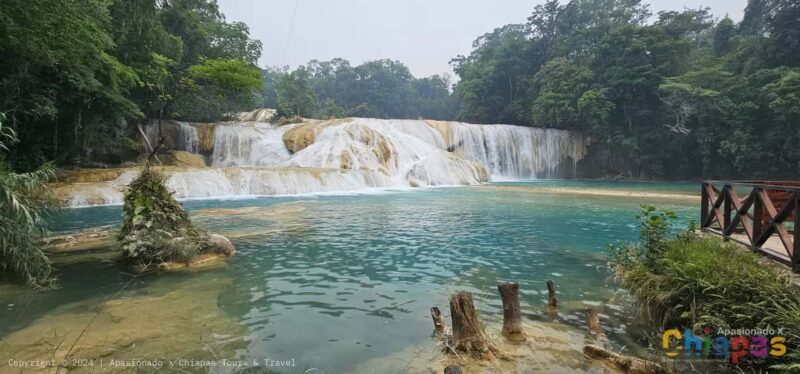 San Cristobal: Agua Azul, Misol Ha & Palenque Experience - Key Points: