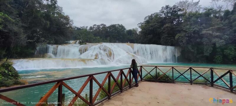 San Cristobal: Agua Azul, Misol Ha & Palenque Experience - Final Thoughts