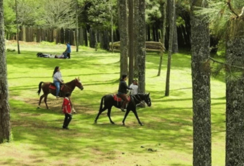 San Cristóbal: Arcotete Ecotourism Park & Rancho Nuevo Caves - An In-Depth Look at the Tour