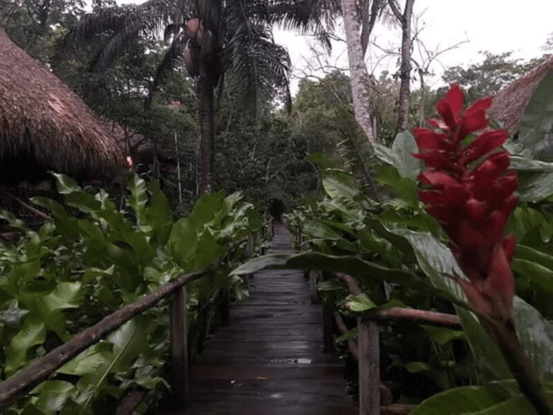 San Cristobal: Coffee Tour in the Mountains of Chiapas - A Closer Look at the Experience