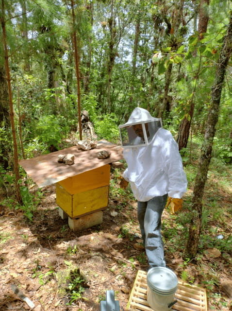 San Cristobal: Huixtan Adventure with Traditional Activities - Key Points