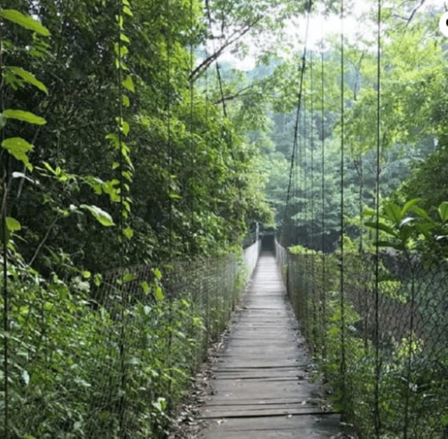 San Cristóbal: Las Nubes Waterfall & Comitán Tour - Key Points