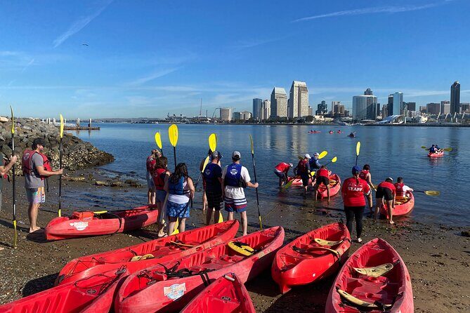 San Diego Bay 1.5-Hour Guided Kayak Tour in Coronado - Key Points
