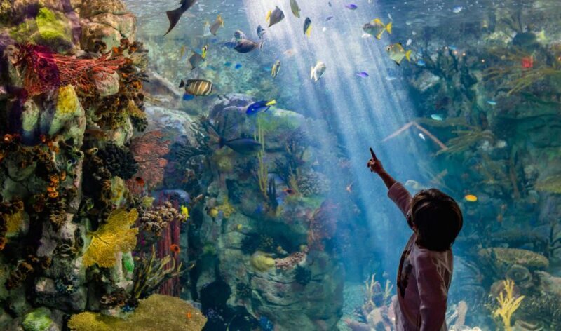 San Diego: CityPASS® Save up to 46% at Must-See Attractions - The Bottom Line