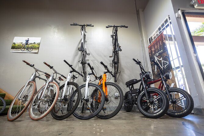 San Diego ebike Rentals - Experience California's Finest Scenery - Exploring San Diego on Electric Bikes: What to Expect