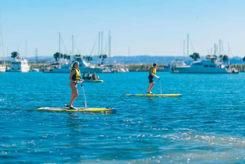 San Diego: Elliptical Paddle Board Rental - Key Points