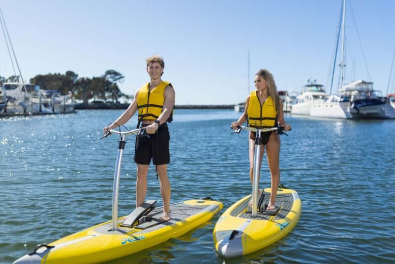 San Diego: Elliptical Paddle Board Rental - What’s This Elliptical Paddle Board All About?